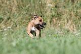 STAFFIE 078